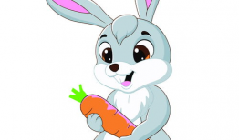动漫兔子,兔子动漫的奇幻之旅